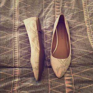 Pointed toe flats